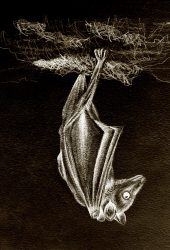 20230504_214250 - Kopie 2